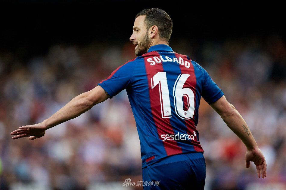 资深运动员 资深运动员